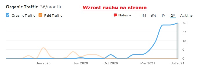 Wzrost ruchu na stronie www