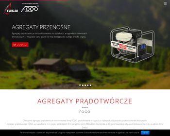 Firma Usługowo-Handlowa EWALDI_