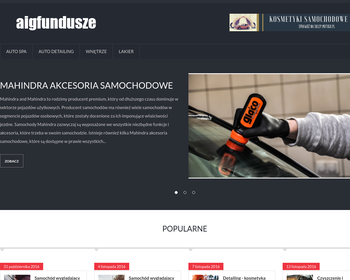 AIG Towarzystwo Funduszy Inwestycyjnych SA_