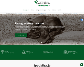 AMICUS-przychodnia weterynaryjna_weterynarz