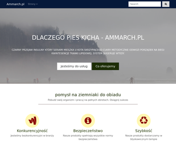 AMM  Studio architektoniczne_