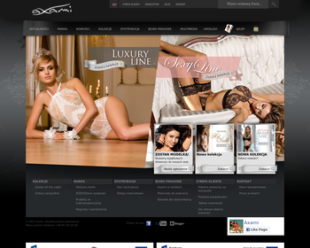 ANGEL lingerie producent bielizny damskiej_