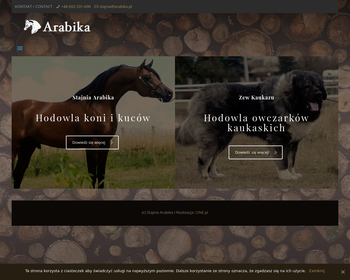 Stajnia ARABIKA_