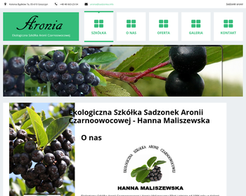 Aronia i  aronii i  aronie i  szkółka aronii.