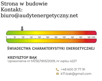 Bene  Audyt energetyczny_