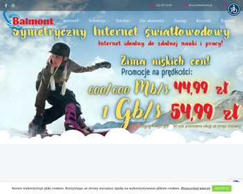 Firma Handlowo-Usługowa BALMONT_