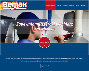 Zakład Handlowo-Usługowy BEMAX_