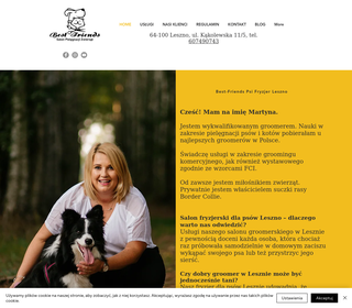 Psi fryzjer leszno i groomer leszno – usługi księgowe.