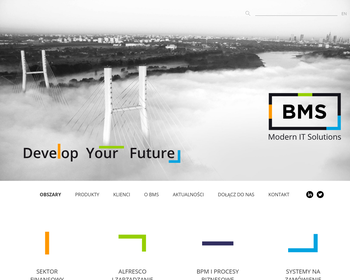 Business Management Software Sp  z o o_