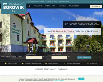 Pensjonat BOROWIK S C_