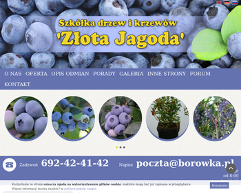 Szkółka Krzewów Jagodowych ZŁOTA JAGODA Renata i Krzysztof Botul_