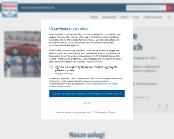 Bosch Service_