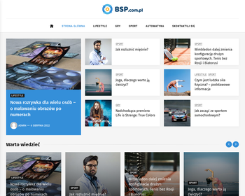 BSP Electronic S c_