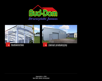Firma Budowlana BUD-DOM_