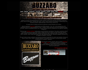 Buzzaro buzzarocabs buzzaro profesjonalne gitarowe kolumny głośnikowe_