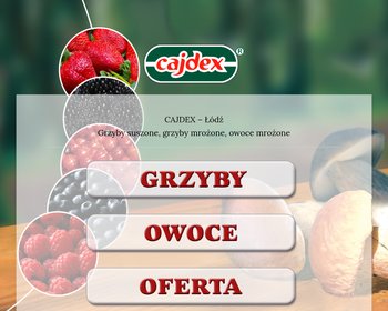 CAJDEX PPHU K J J Cajdler_