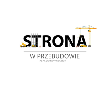 Centrum Controllingu i Analiz Ekonomicznych Sp  z o o_