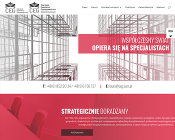 Centrum Ekspertyz Gospodarczych Fundacji Akademii Ekonomicznej w_
