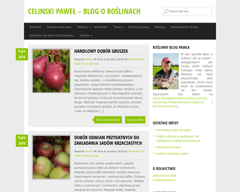 Celiński  PHU  Usługi koparkoładowarką_