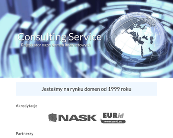 Consulting Service_