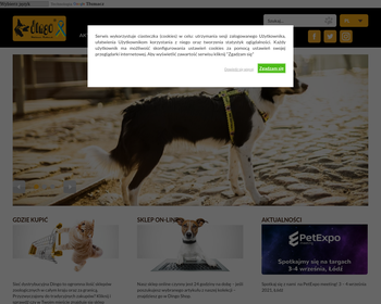 DINGO Sp  z o o_