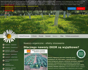 Ekor S A  Grupa Doradcza im  Karola Adamieckiego_