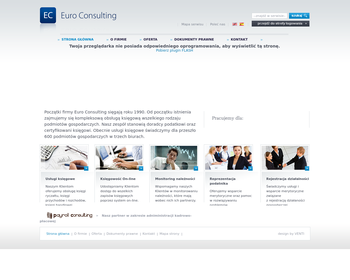 Euro Consulting S A_
