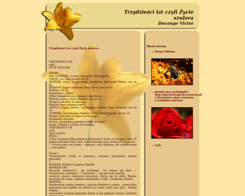 Okna drzwi plastikowe PCV drewniane Radom_