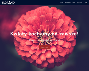FLORAND Hurtownia Kwiatów_