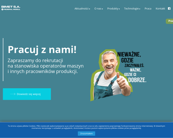 FEDERAL-MOGUL BIMET SA_