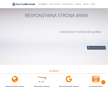 Future-King projektowanie stron Gorzów_