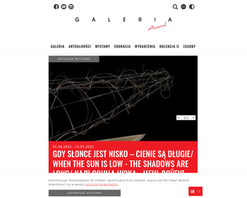 Galeria ARSENAŁ_