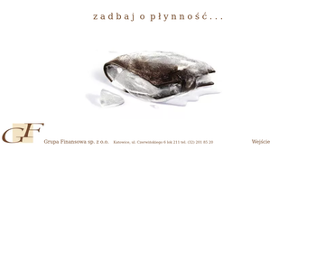 GRUPA FINANSOWA Sp  z o o_