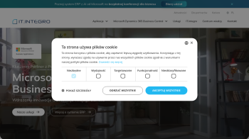system erp_ navision
