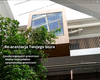 projektowanie sklepów_ aranżacja sklepów