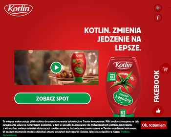 KOTLIN Sp  z o o_
