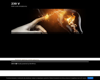 Internet Data Systems S A_