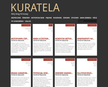 Agencja Ochrony Mienia KURATELA_