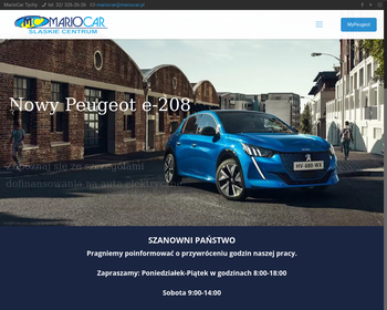 Przedsiębiorstwo Handlowo-Usługowe MARIO CAR Jacek Wypich_