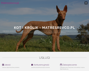 Przedsiębiorstwo Produkcyjno-Handlowe MATRES REVCO Sp  z o o_