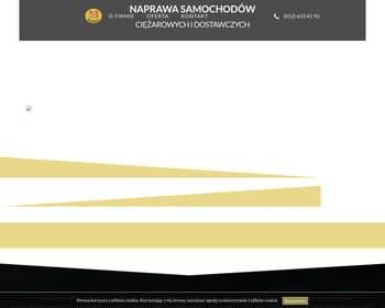 Mega Trans Serwis S C_