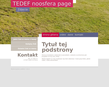 NOOSFERA*PL Hodowla kotów brytyjskich krótkowłosych_