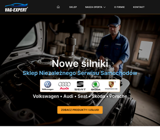 silnik Audi__silnik Vw