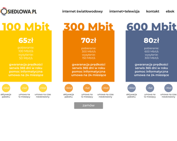 Telsat Systemy Teleinformatyczne Michał Kowalski_ Paweł Kowalski S C