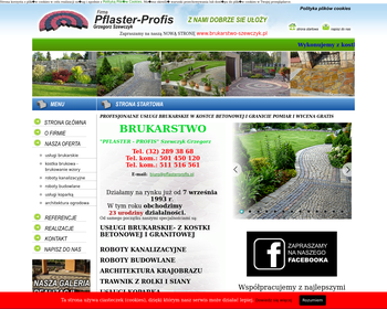 Pflaster-Profis  Brukarstwo_ roboty ziemne