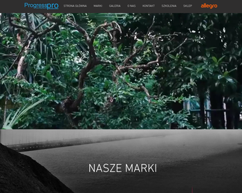 Progress  Paweł Brągiel  Kompleksowe usługi budowlane_ niwelacja