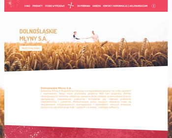 Przedsiębiorstwo Zbożowo-Młynarskie PZZ w Bolesławcu SA_