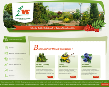 Szkółka Krzewów Ozdobnych__borówka amerykańska