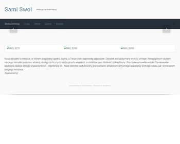 Firma Handlowo-Usługowa Sandra_