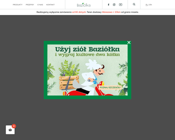 SWEDEPONIC Polska Sp  z o o_